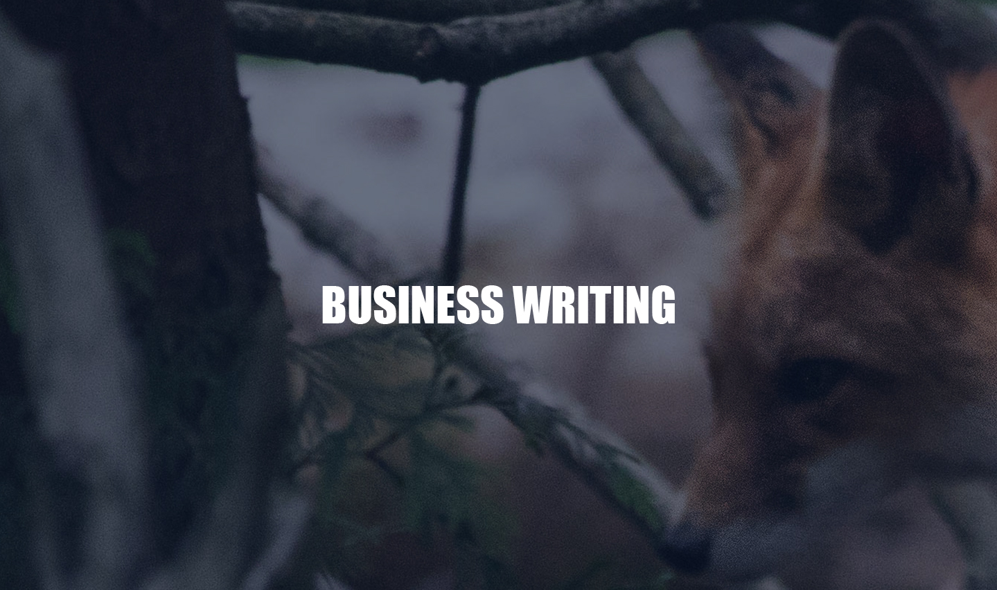 "Business Writing" Header: Creative Commons License 2.0: Krystal Hamlin
“Red Fox” Link: https://www.flickr.com/photos/krystalhamlin/42650554282/in/photolist-27YTeSb-eTnDn5-X8FCbE-XteX8s-2c2th3m-28UjHGu-cgjfRN-ZDHpBA-GkhV9s-ZeeqLV-Y4Qx7b-Am1zDn-oNY7sU-vLr4mS-23zn6vQ-LxVQD6-ZeeHDH-Zbrd7G-24iCy4N-GkABQg-25pqL5A-YKKu6Y-YKKurY-YCnpkV-EPDwXy-Zeevqp-23zn8Xo-22o1Vow-2be8bqD-KosAQJ-Kotuuq-V3Ls16-7sq4jw-hGQLwB-237bqrm-65PMGh-qxLY4v-fqUca4-VWaxcA-921zUJ-921zUE-iKTCay-PPmNVG-oTTai9-ehKjsd-djQZT2-ehKk6m-djQSAv-6hXk6m-qxxSX5