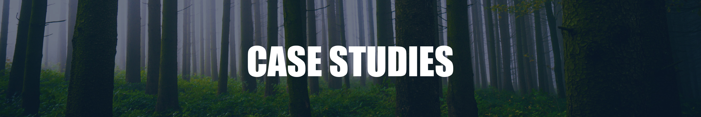 "Case Studies" Header: Creative Commons License 2.0: Hannes Flo
“Blinded II” Link: https://www.flickr.com/photos/hannesflo/42695616451/in/photolist-283Sch8-25UFD7z-26S5Aee-2eccgSY-24LhdqD-21j2BjY-ZF76DE-JjWeWo-29aFsM9-2bnc1bd-DuVEwC-jJqZcW-DQYcNR-jdGtvb-Ls48wh-21Rdfj5-ihdTwW-inyvJY-26Bts5m-26MUgb7-23RG9bX-2aAfHv1-24VXN3F-5UeufD-QeEg9s-K2VVak-26bAYLU-NqTR6i-7iD3z3-2dEWWxJ-LhnGto-24R7bYE-2bwQxG2-ETcBwC-PRkcQy-24fSx6D-21yAUP8-qFtkPC-XemQgW-egHXxd-29M4uJ9-28DDcyX-26XjD8j-247kYVg-jT52P6-27Z5Rdt-tVpTB-GjV1tj-EX9frU-JbR9j8